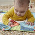 Fisher Price Sustain Roly Poly Panda Play Mat